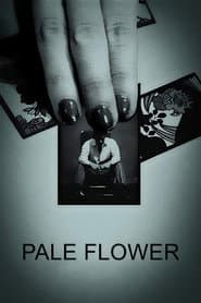 Edition cover