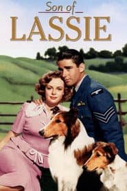 Lassie Collection