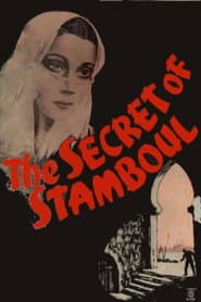 Spy in White / Secret Agent