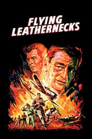 John Wayne Collection (DVD Set) [DVD]