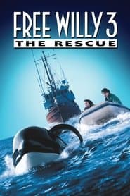 4 Film Favorites: Free Willy Collection