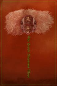 Edition cover