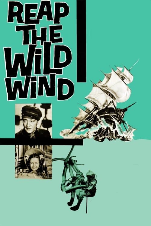 John Wayne: Screen Legend Collection (DVD Franchise Collection) [DVD]