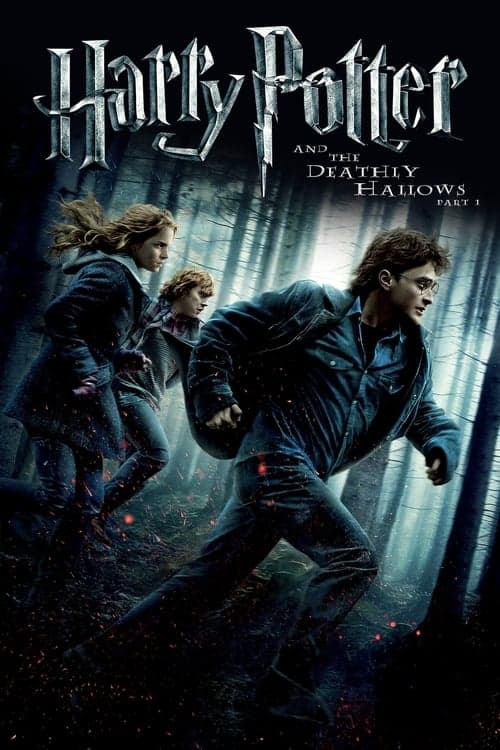 Harry Potter and the Deathly Hallows: Parts 1 and 2 (DVD Double Feature) [DVD]
