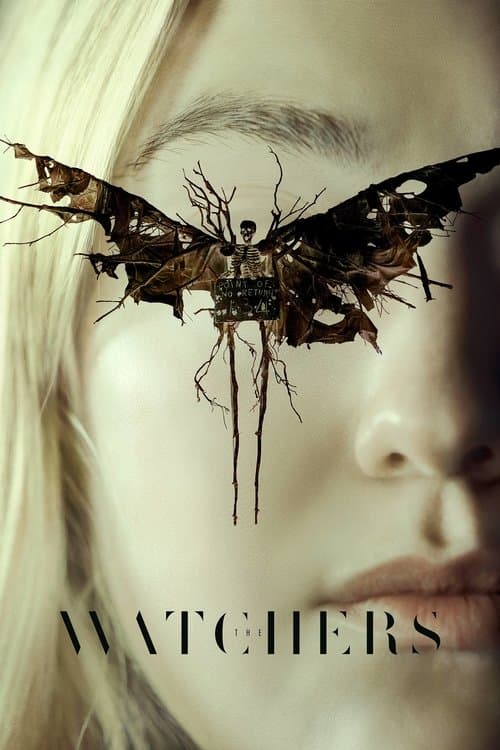 DVD · Warner Bros.