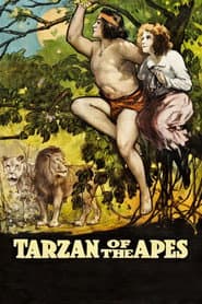 Edition cover